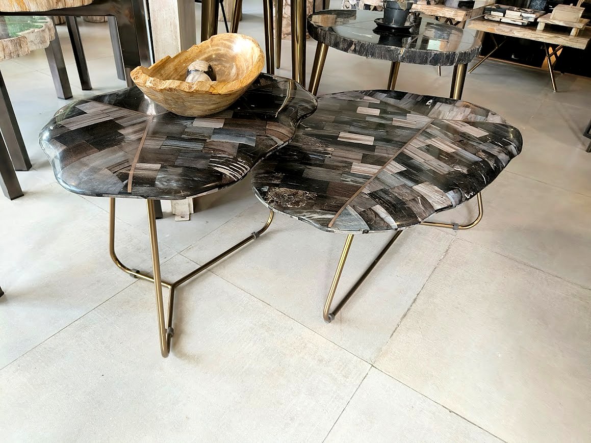 Petrified Wood Nesting Tables on Brass Legs